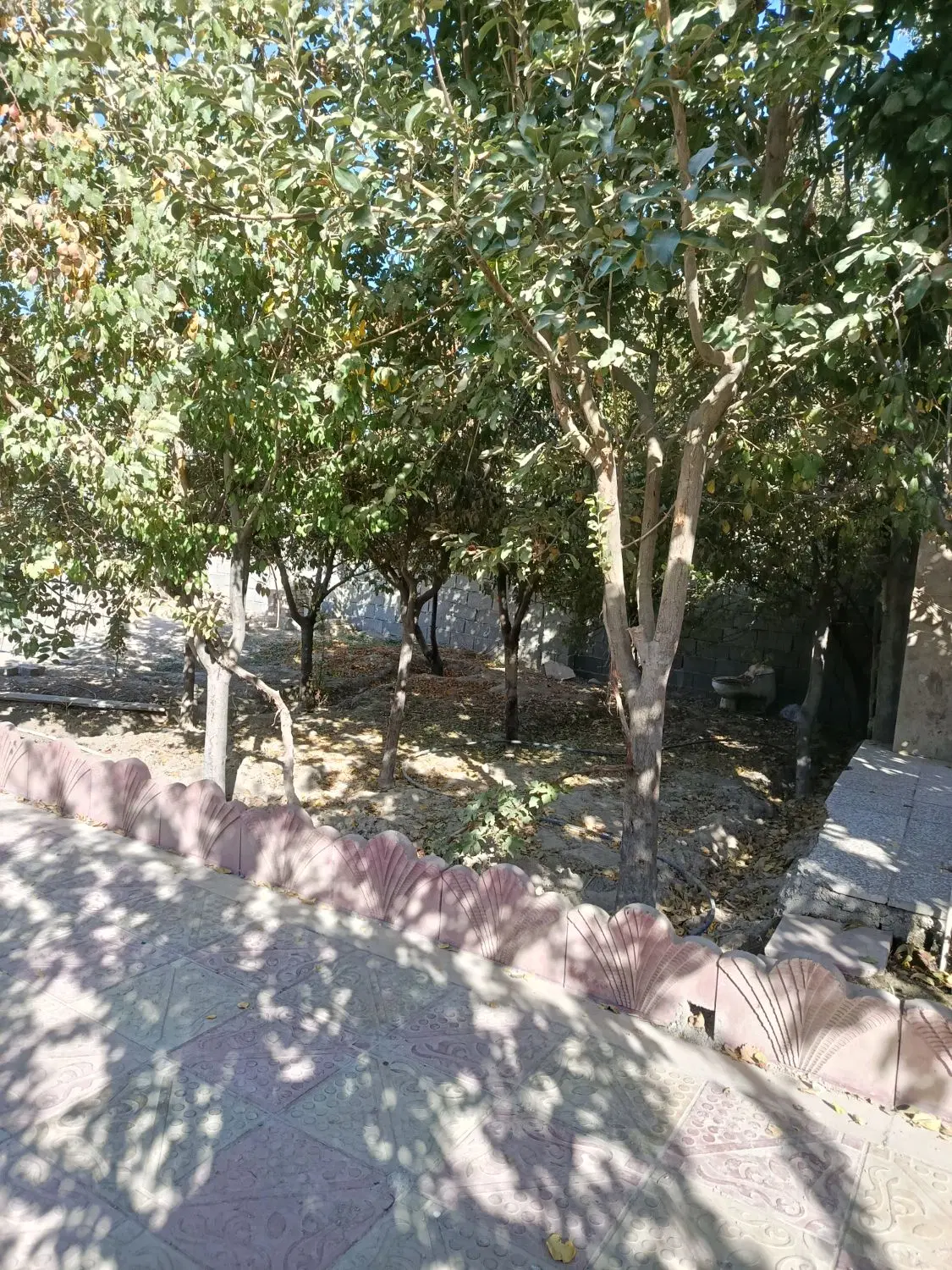 باغ۳۷۰متری نوکند