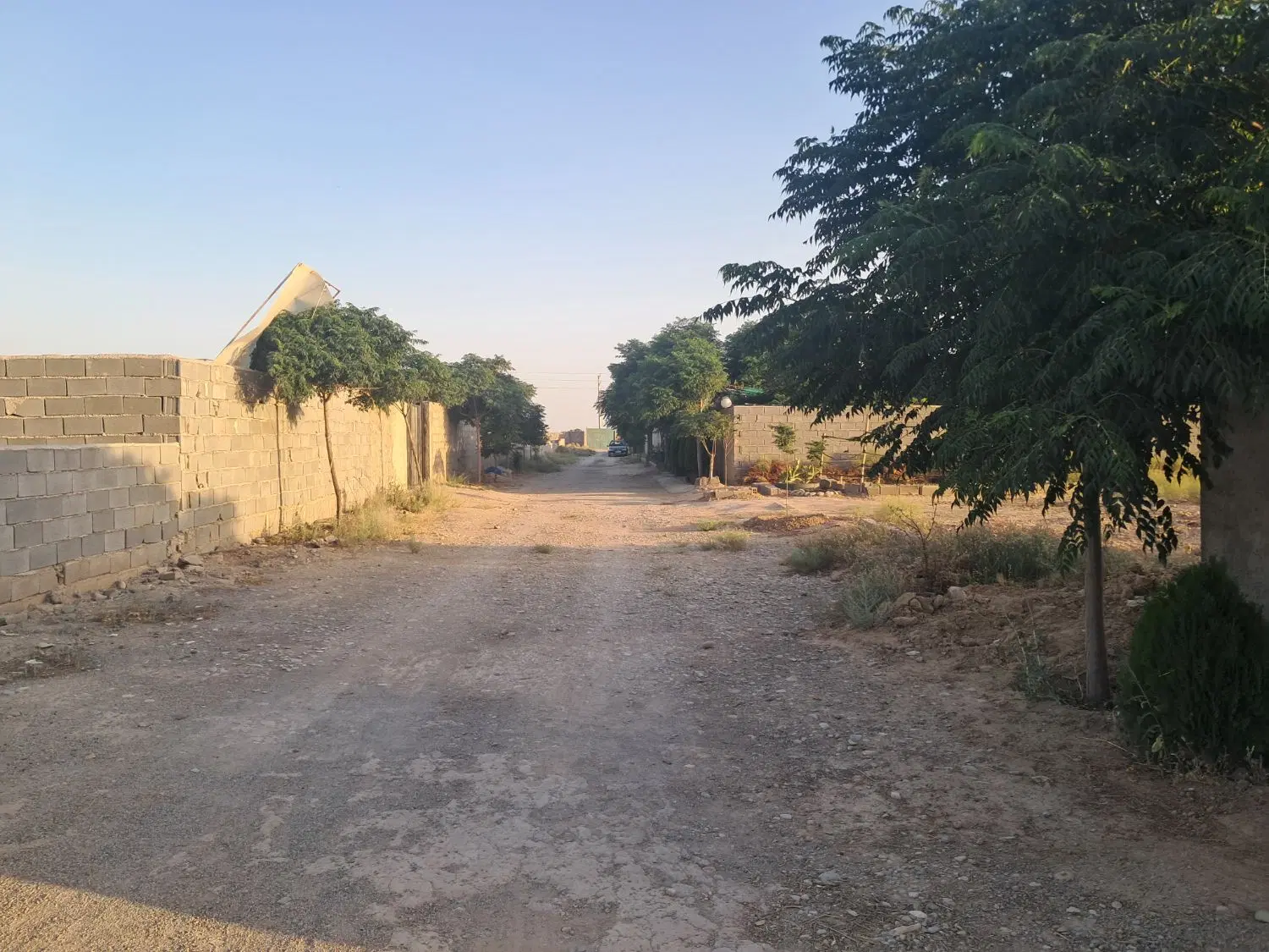 فروش باغچه