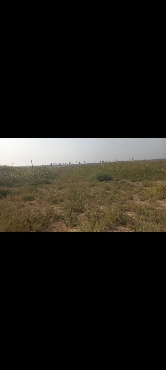 خرمشهر جزیره+مینوشهر