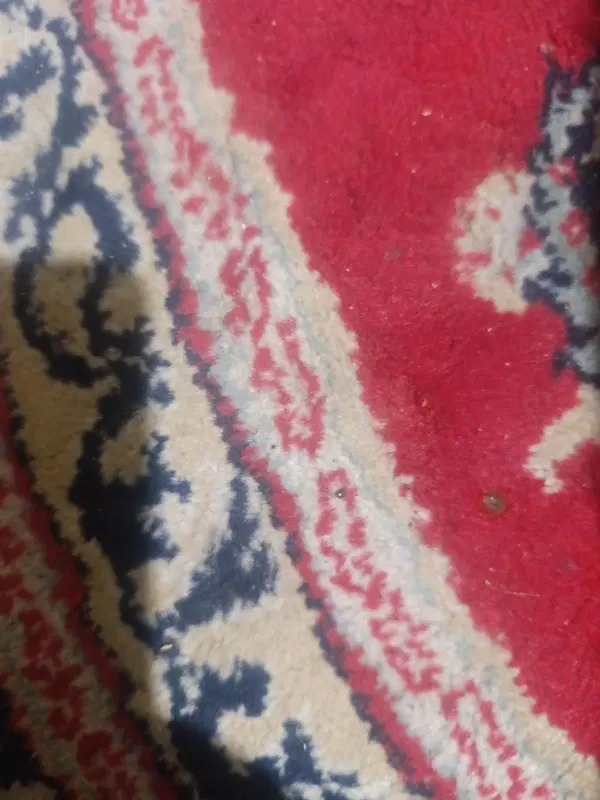 زمین سپاه سیادک