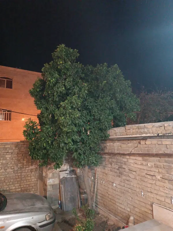 باغ شهری 900متری
