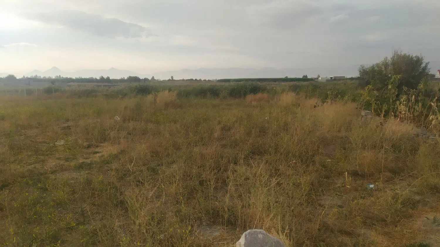 قطعه زمین زراعی ۹۰۰متری جاده شورکند