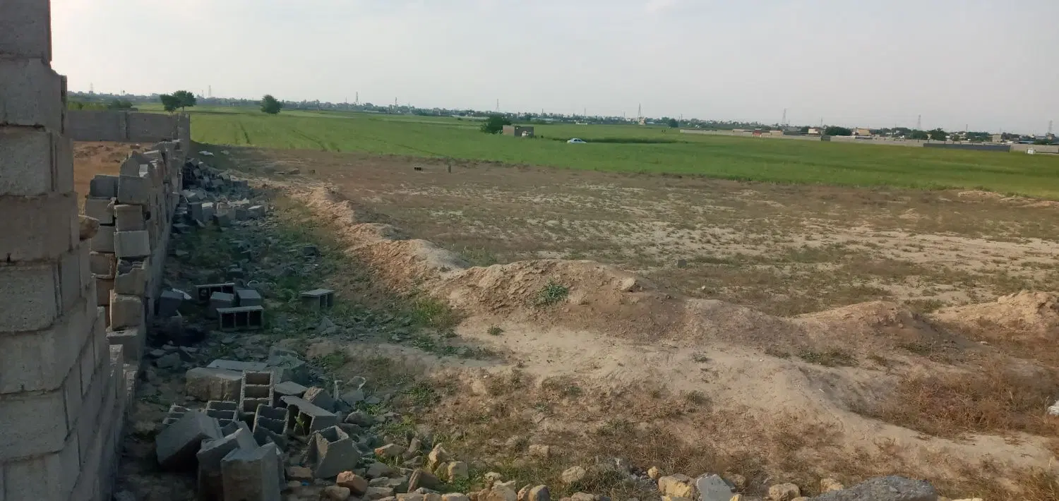 زمین برا دامداری یا باغ