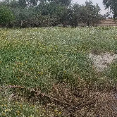 زمین ۱۹۰ متر