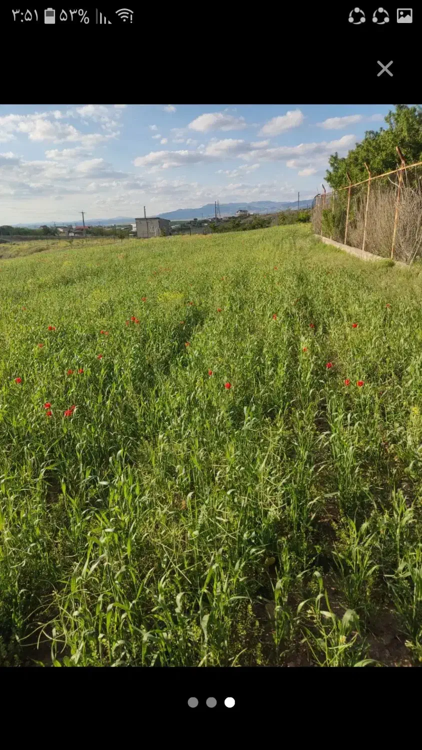 زمین زراعی دیم۲۰۰۰۰مترواقع درزنجان جاده دندی