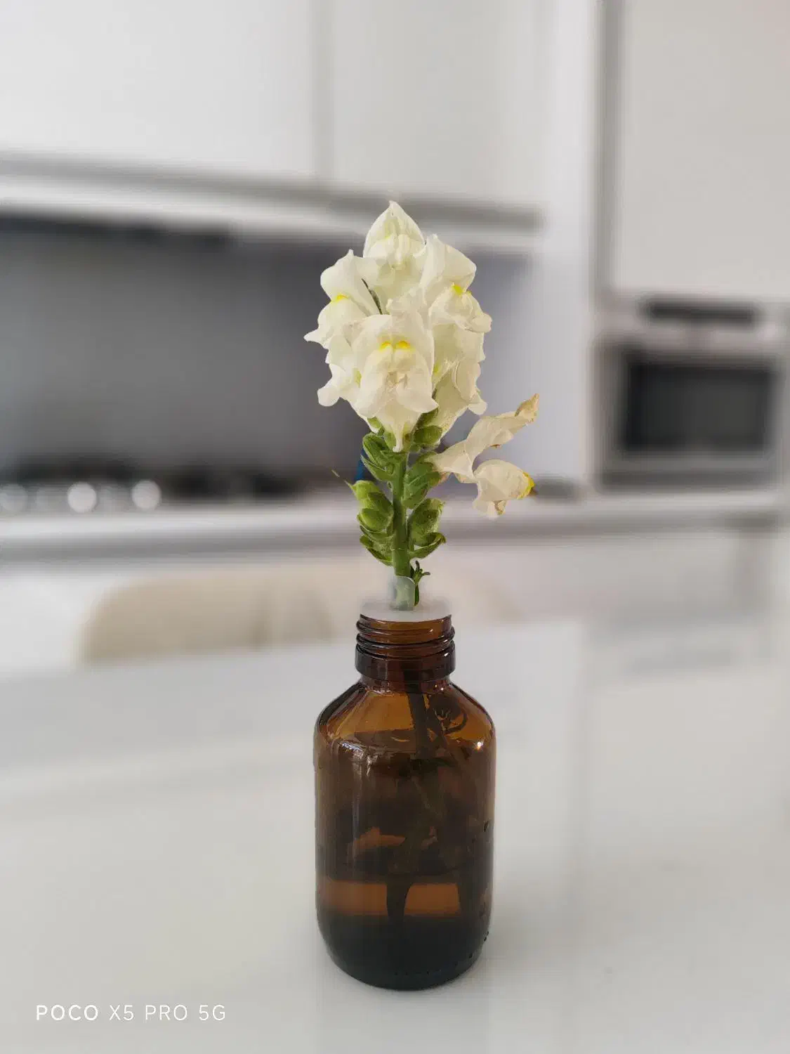 زیرزمین مسکونی بلوار نصر