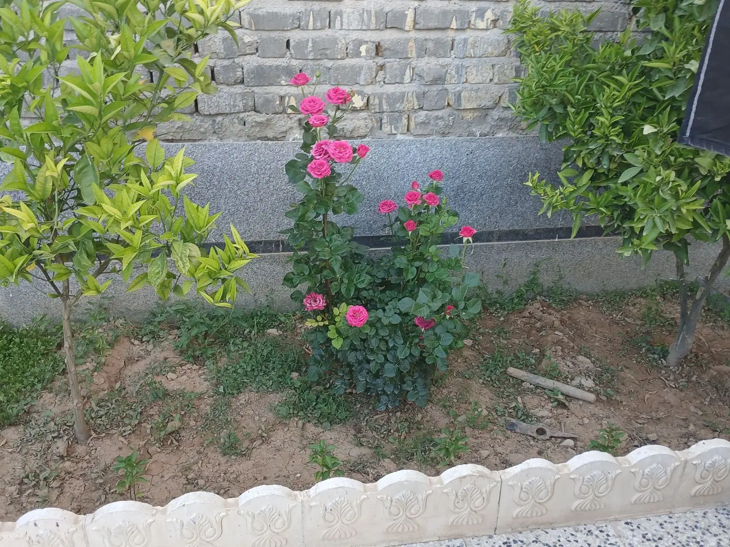 منزل کوچه۲۰اتحادمعاوضه باشهرک صادقیه