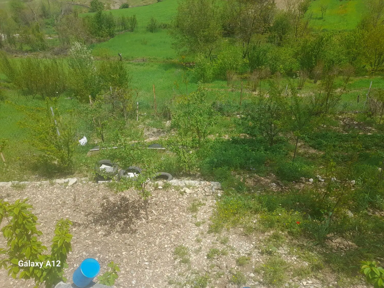 خونه اجاره ای