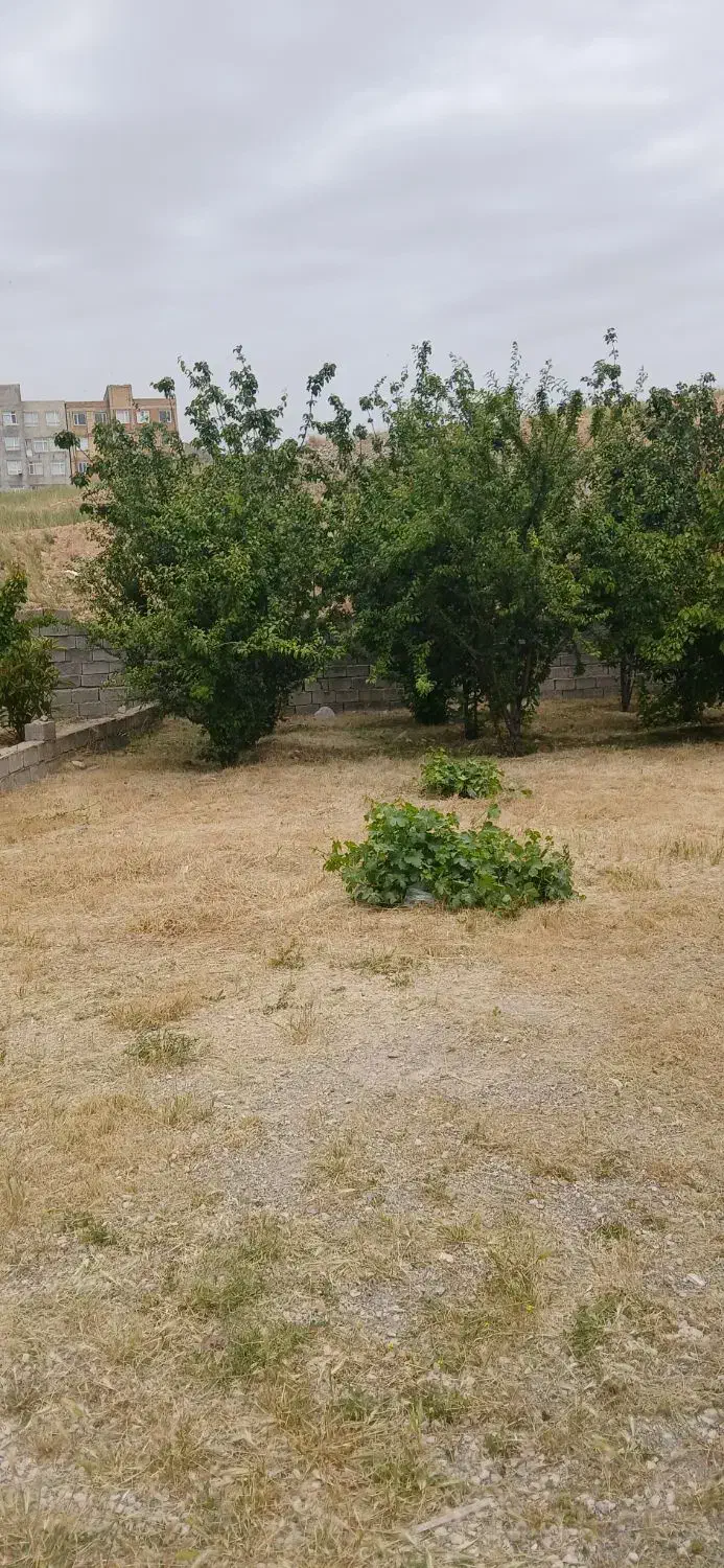 ۳۴۰۰متر واقع  در خیابان شهرک قدس