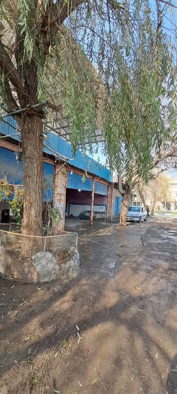 مغازه تجاری معاوضه با زمین باغی