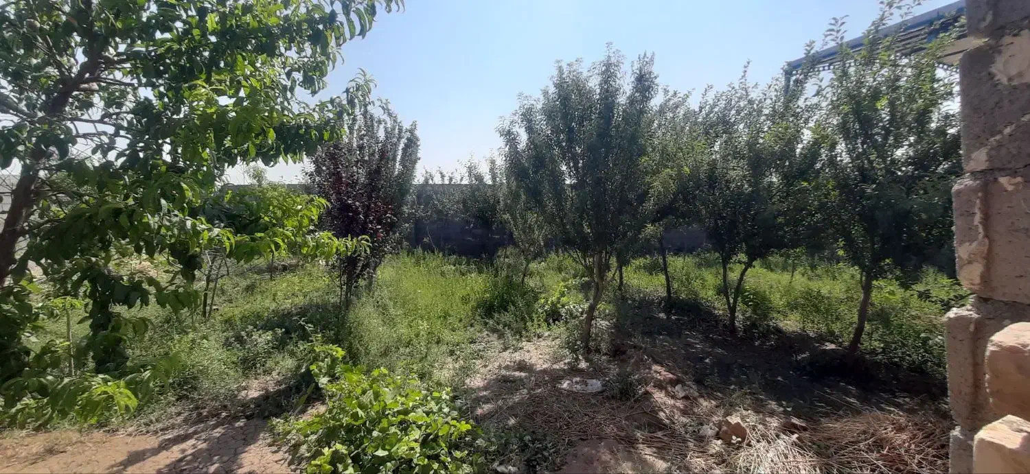 ّباغ وباغچه
