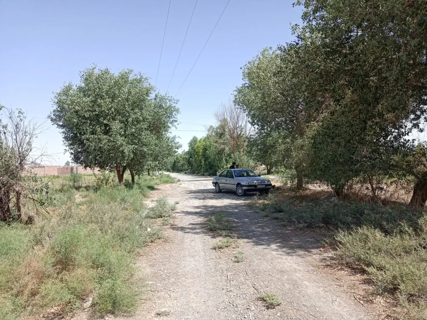 واگذاری زمین جهت تفریحی و گردشگری