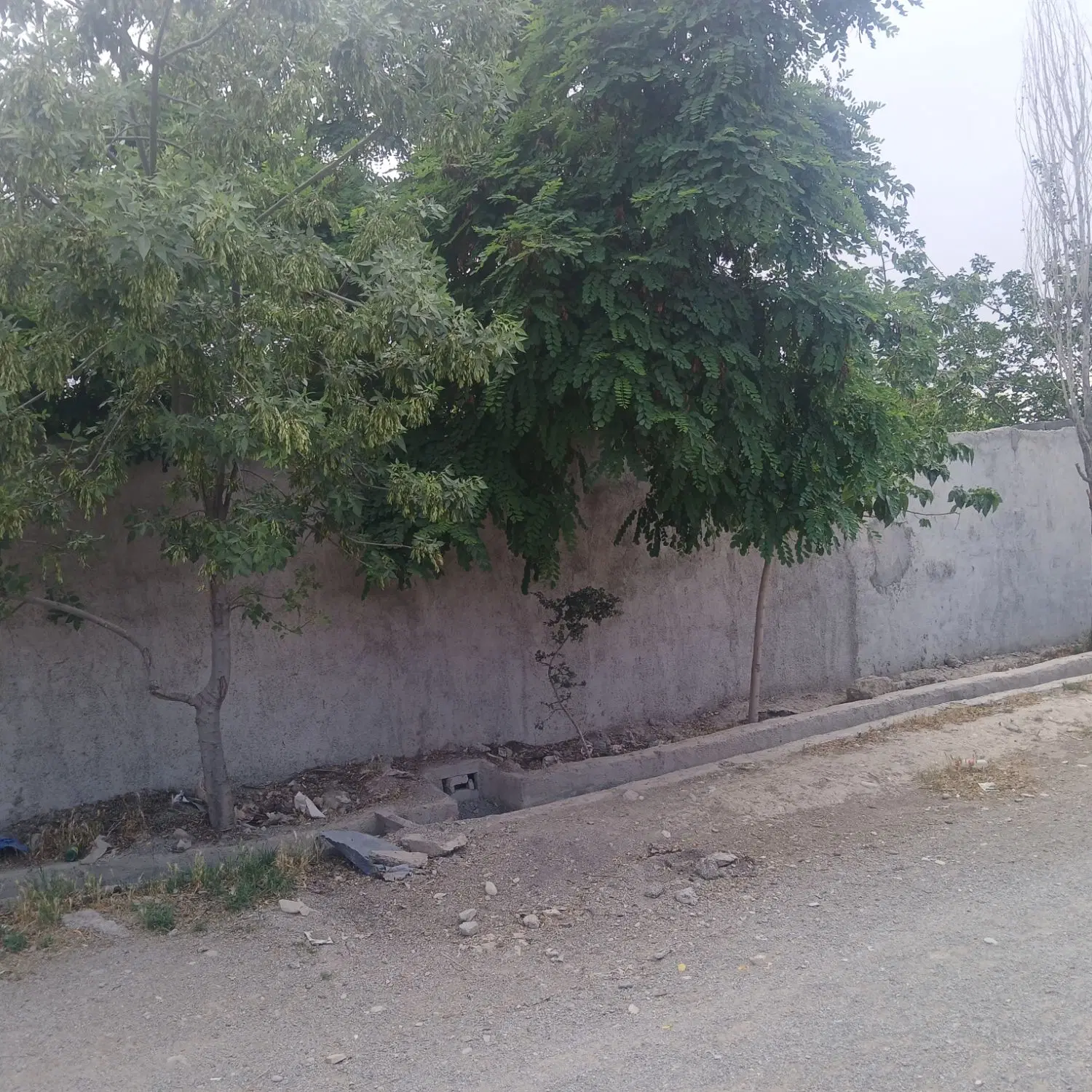 باغ در دهشاد بالا