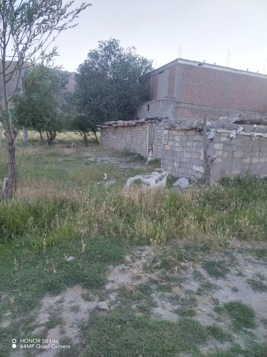 زمین مسکونی