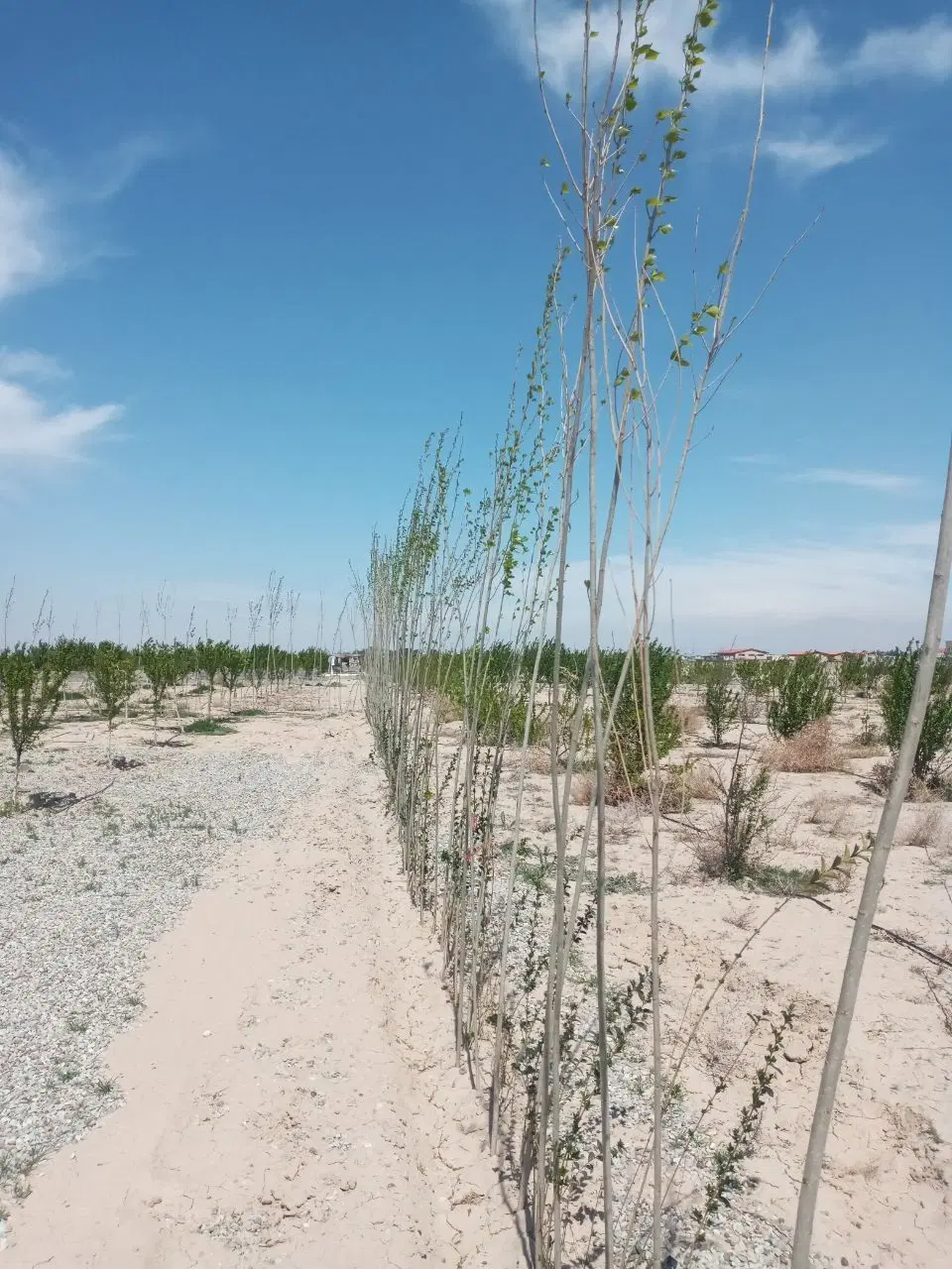زمین 510متری خوش نقشه سند دار مجموعه بهاران