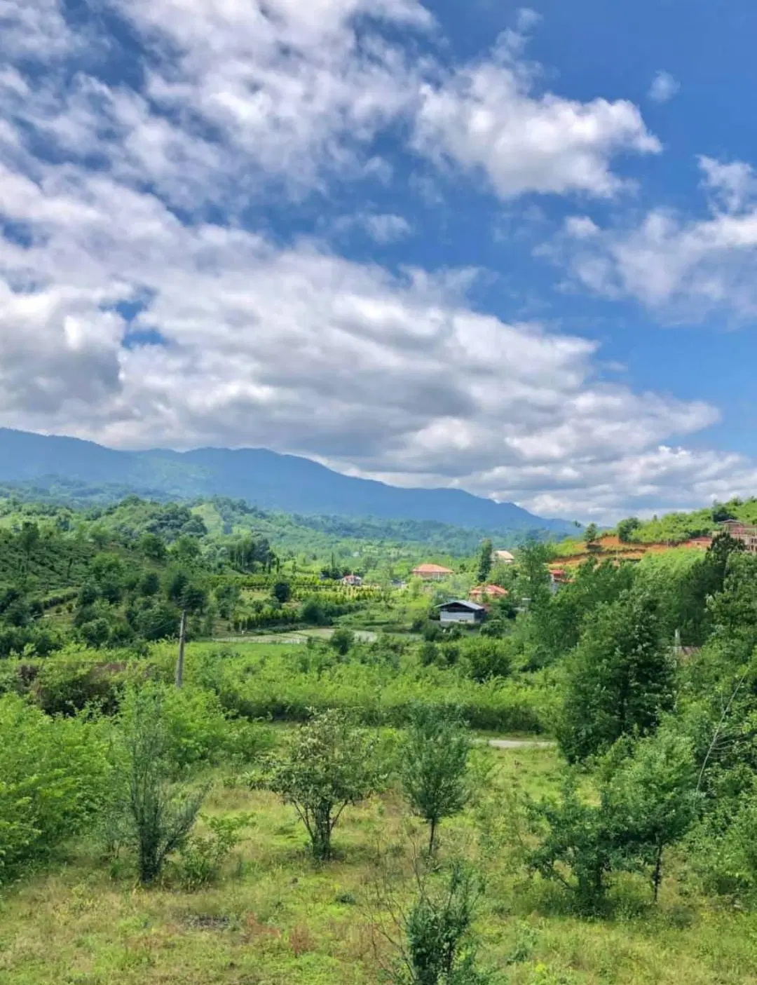 تمام مسکونی