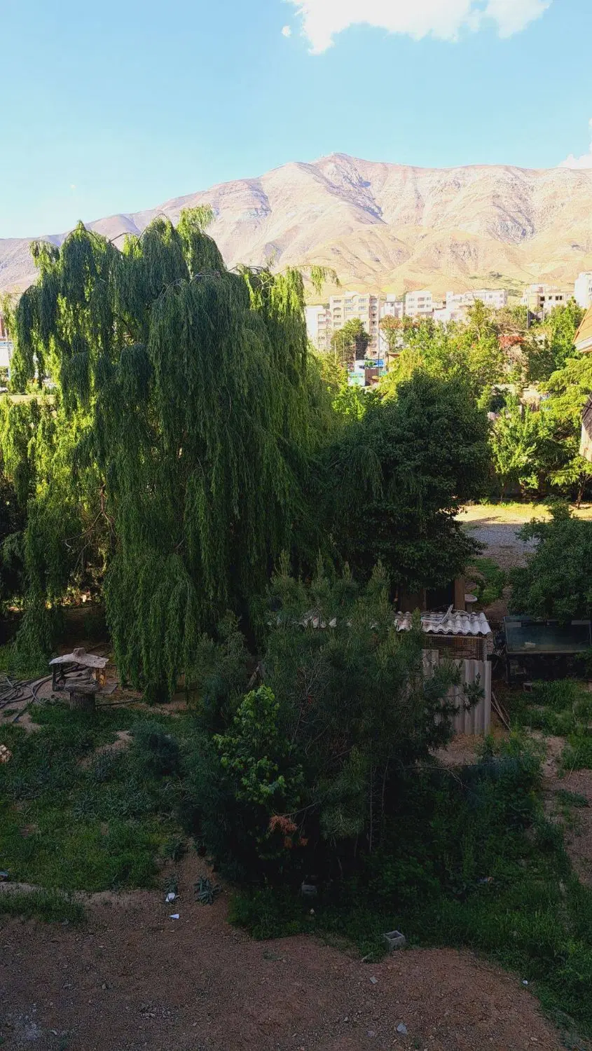 ۱۰۲ متر لطفی