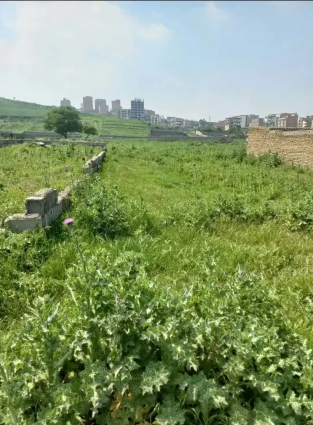 زمین ۹۱ متری طبیعت