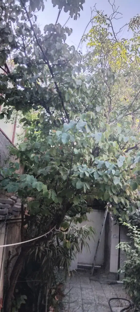 فروش ملک ویلایی کلنگی
