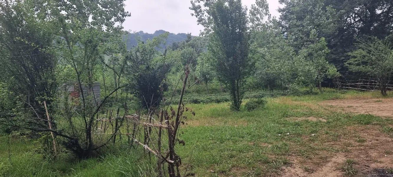 زمین ۶۰۰ متر  قیمت استثنایی برای سرمایه گذاری