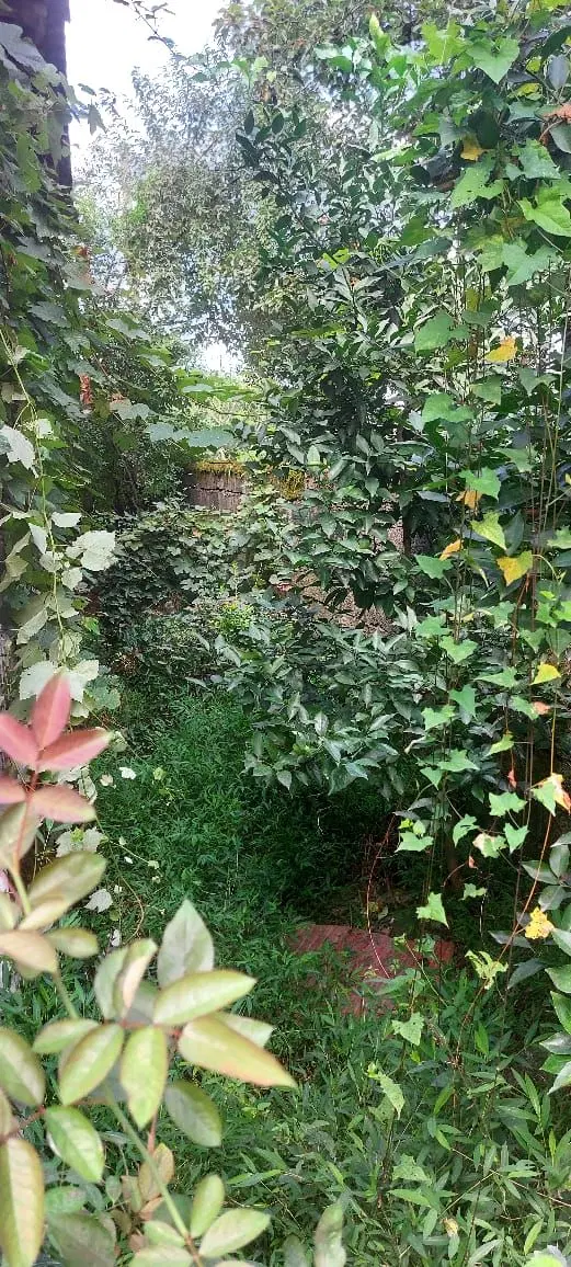 فروش خانه ویلایی سند تکبرگ