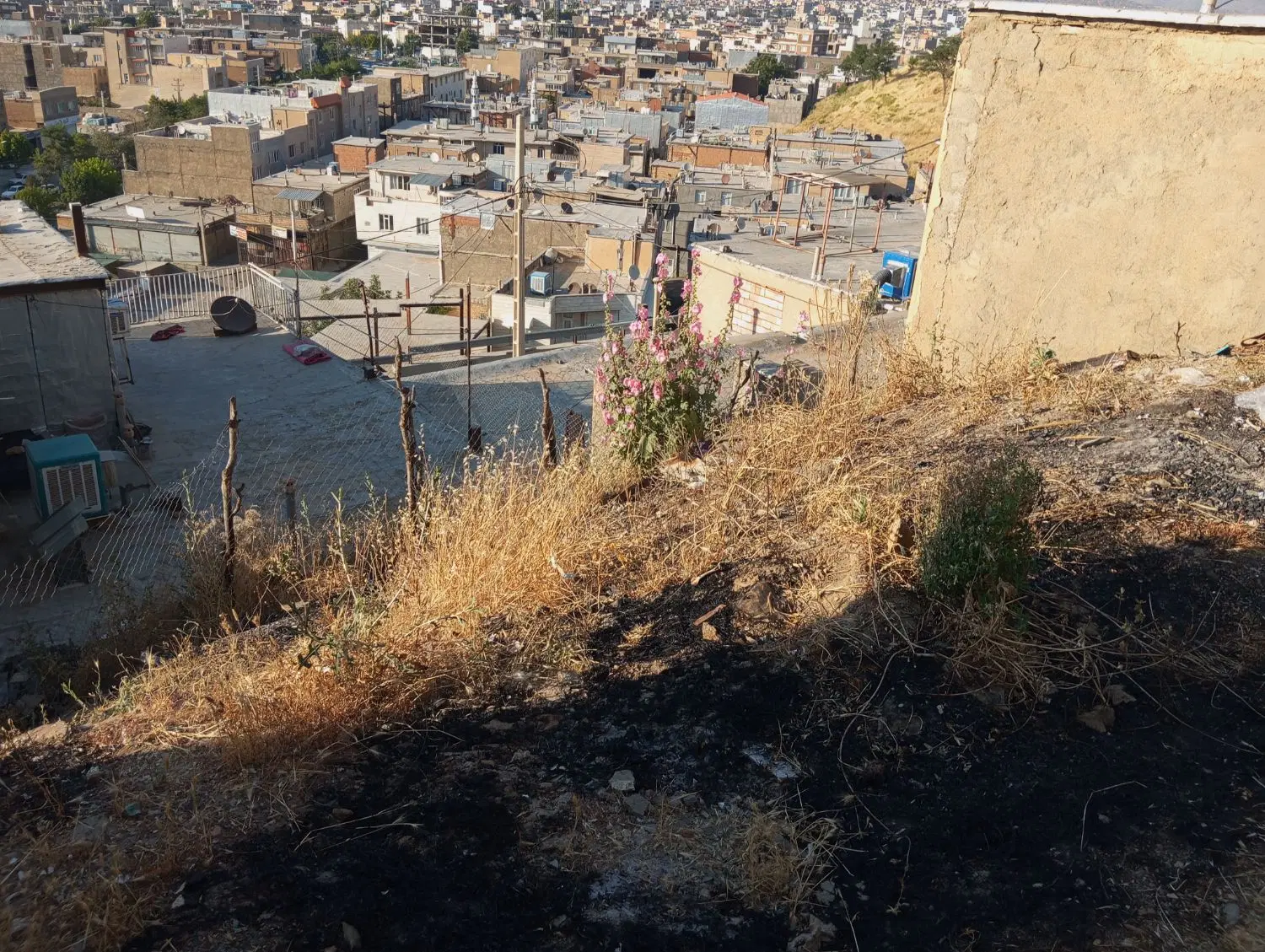 زمین مسکونی