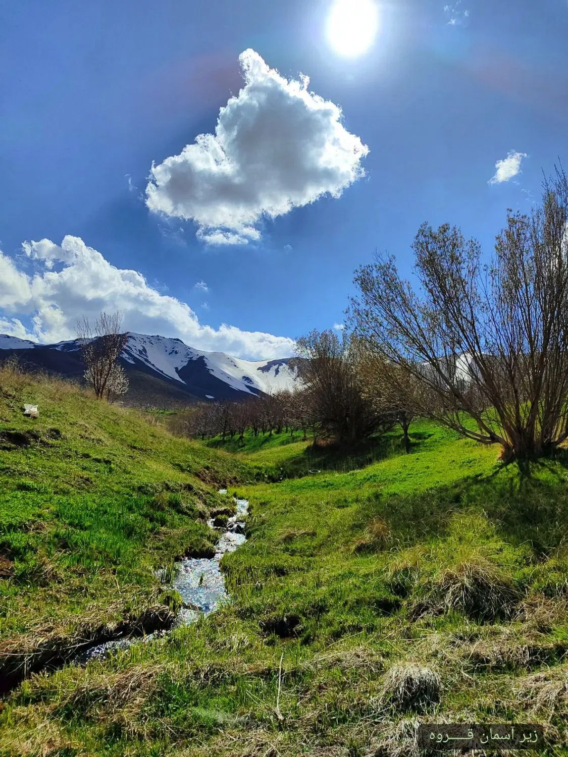 زمین کشاورزی جاده آسفالته آصف آباد