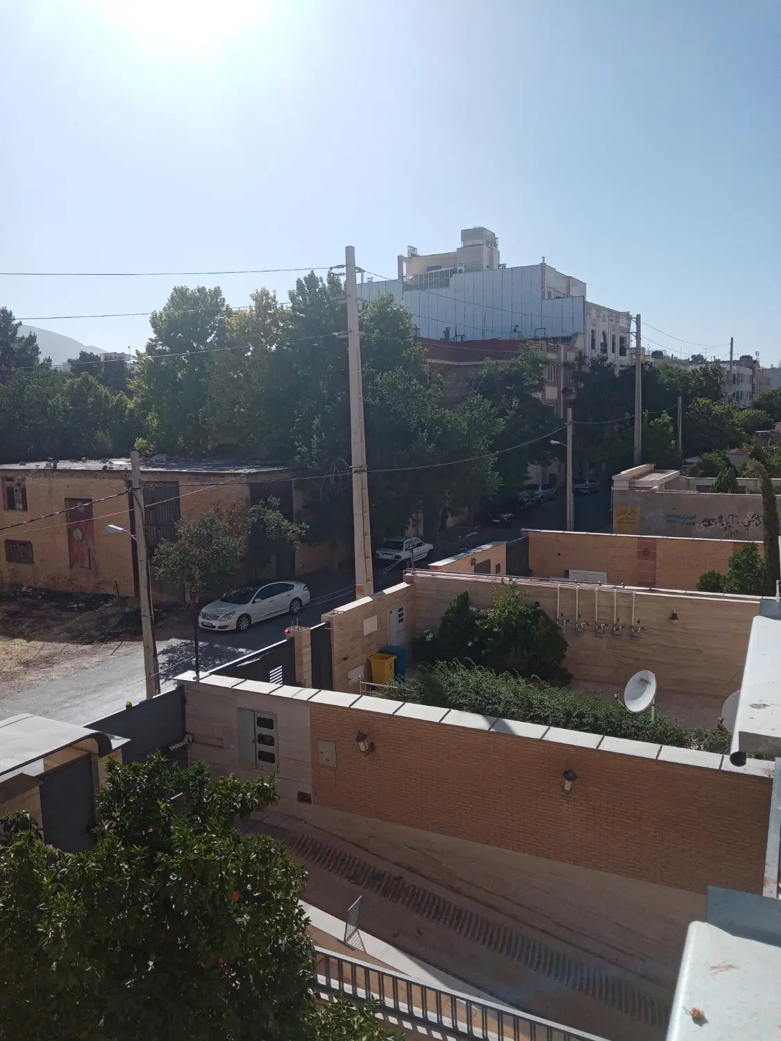 3 خواب شیمی گیاه مناسب سرمایه گذاری وسکونت