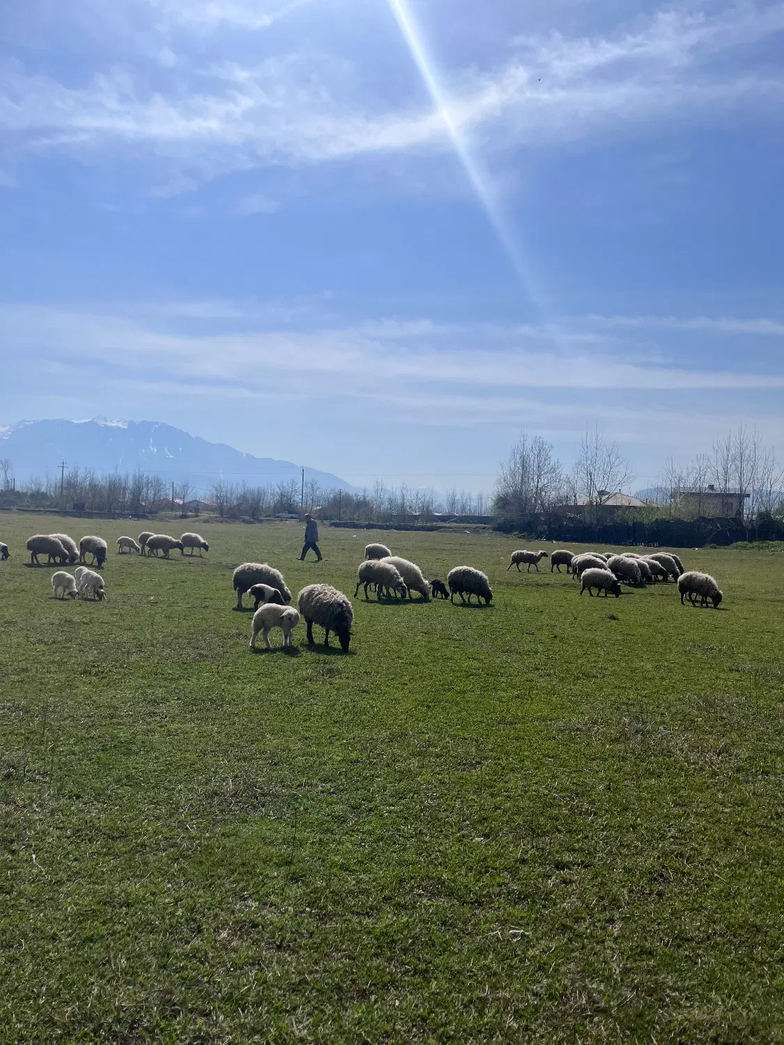 زمین مسکونی در قاضیان سنگر