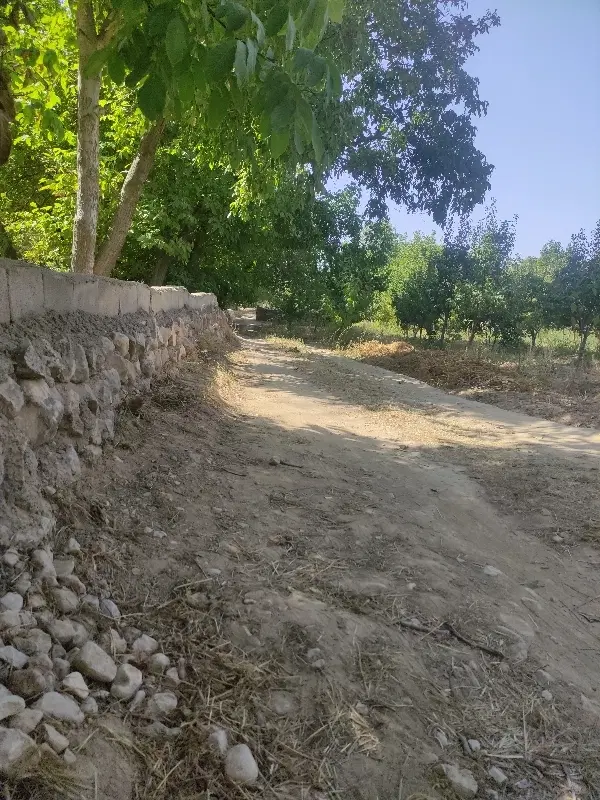 باغ جاده فیروزه