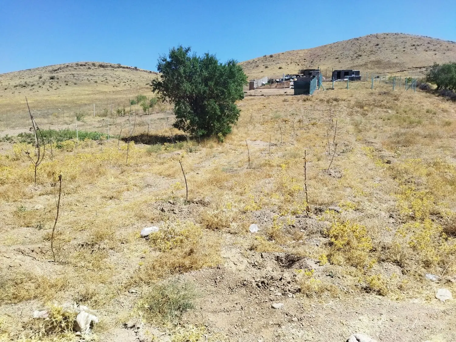 ۶۰۰متر زمین باغی چورزق معاوضه