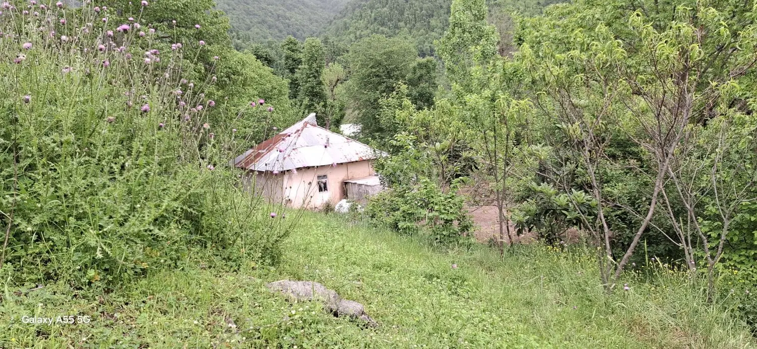زمین متراژ۳۰۰۰ متر