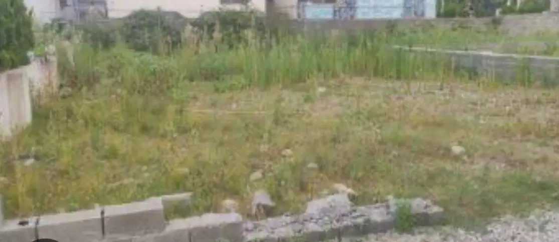 فروش زمین