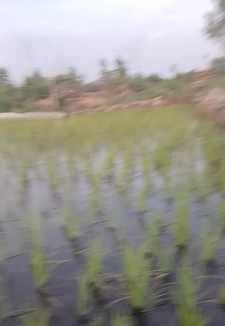زمین ۳۲۰۰ متری