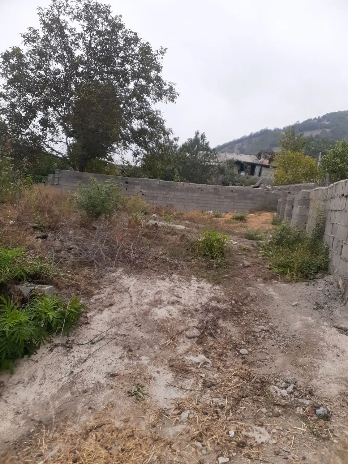 زمین ییلاقی کوهستان نرسو