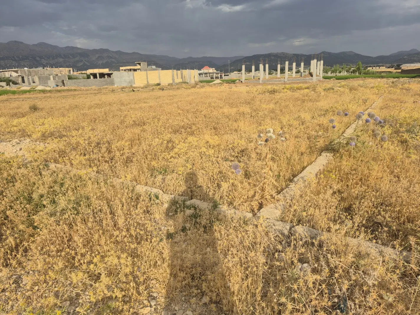 زمین مسکونی سنددار بدون کوچکترین ایراد