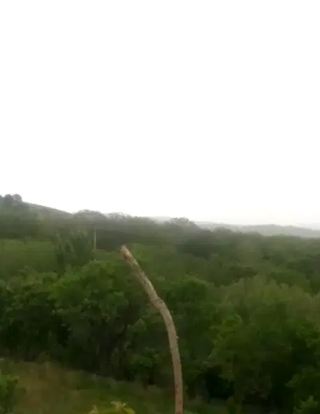 ملک ، زمین  رزجرد کوچه رُز