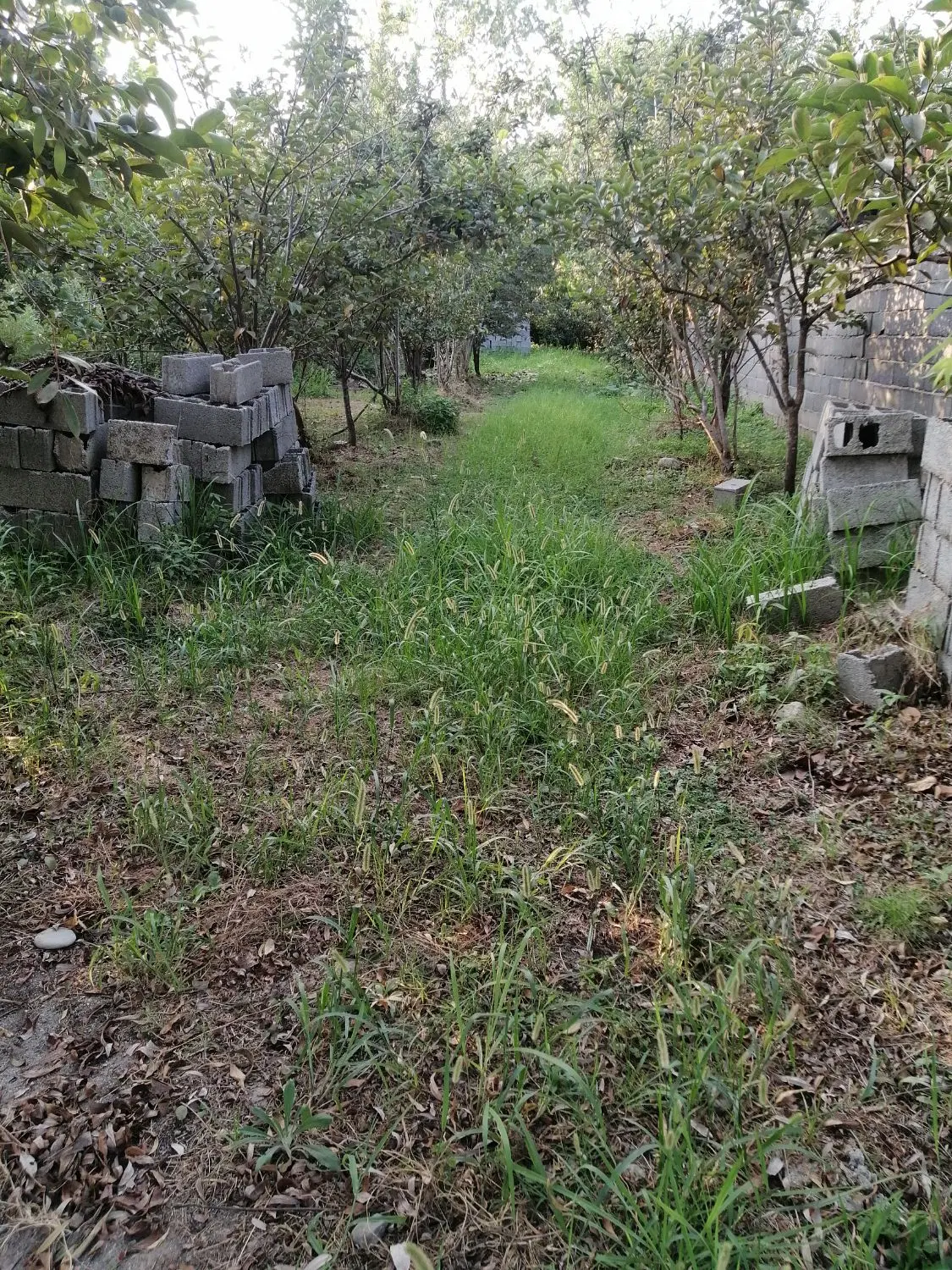 فروش زمین