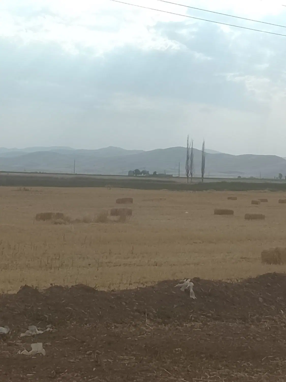 زمین کشاورزی آبی