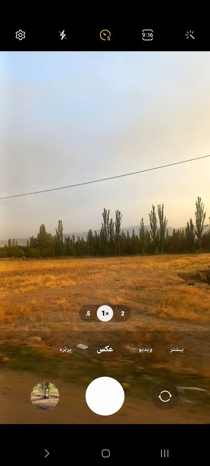اجاره زمین برای کاشت پیاز