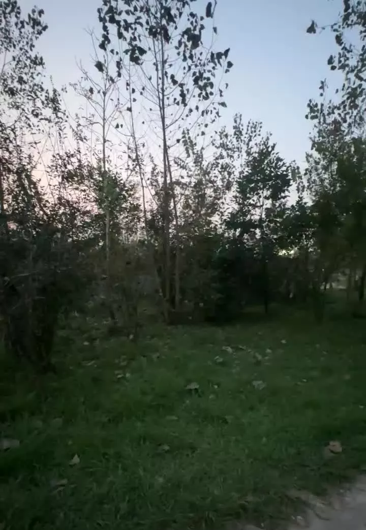 خانه و زمین با امتیازات کامل