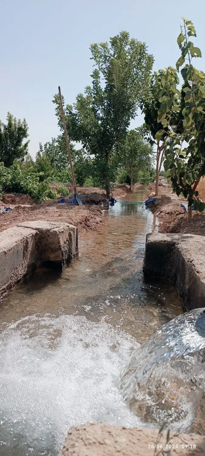 فروش زمین باغی