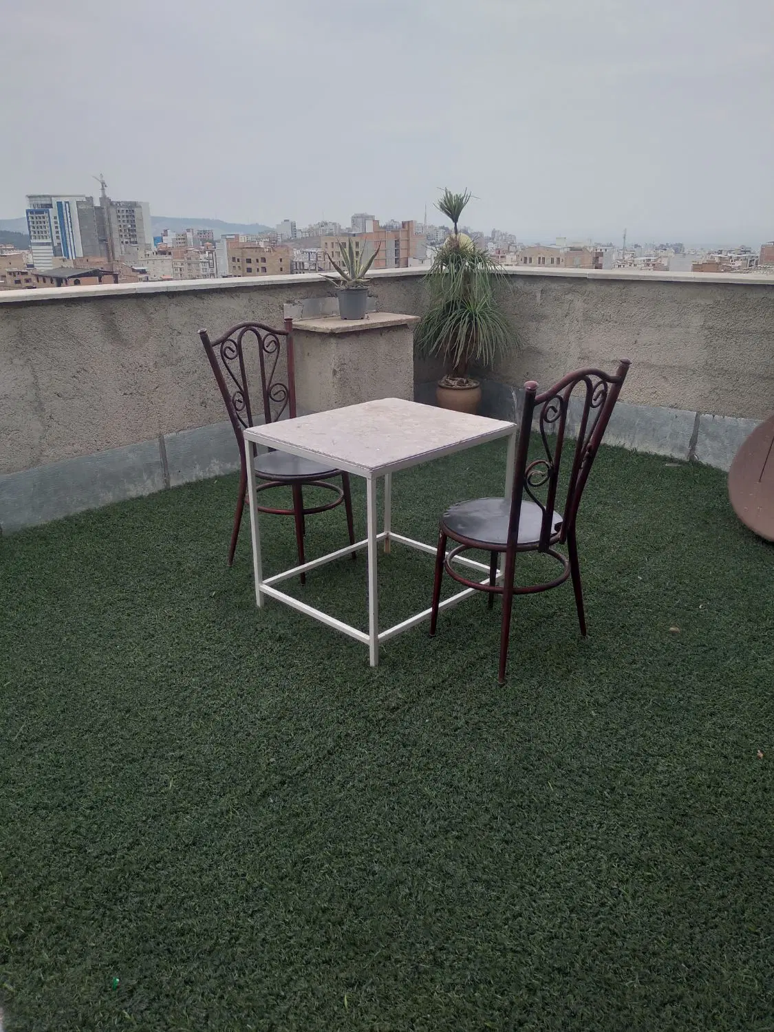 بام گرگان