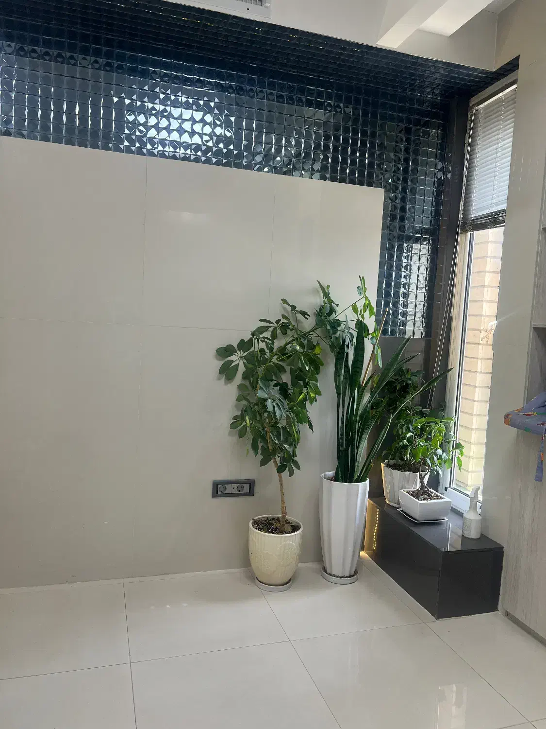 اجاره اتاق در مطب پزشکی