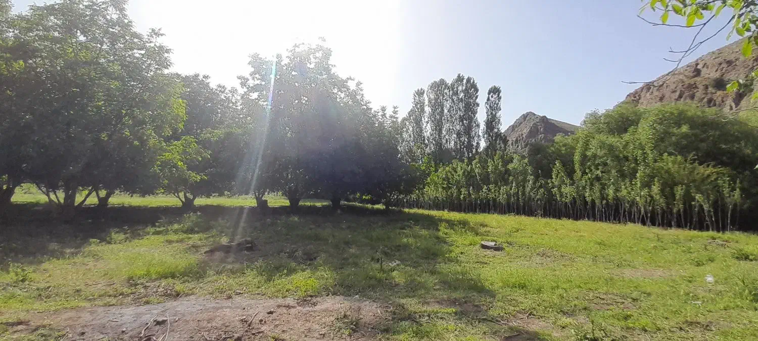 باغ در روستای قره گزلو