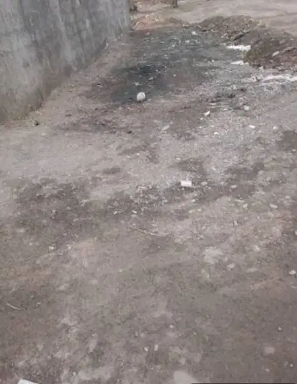 زمین طالقانی گلبرگ ۶