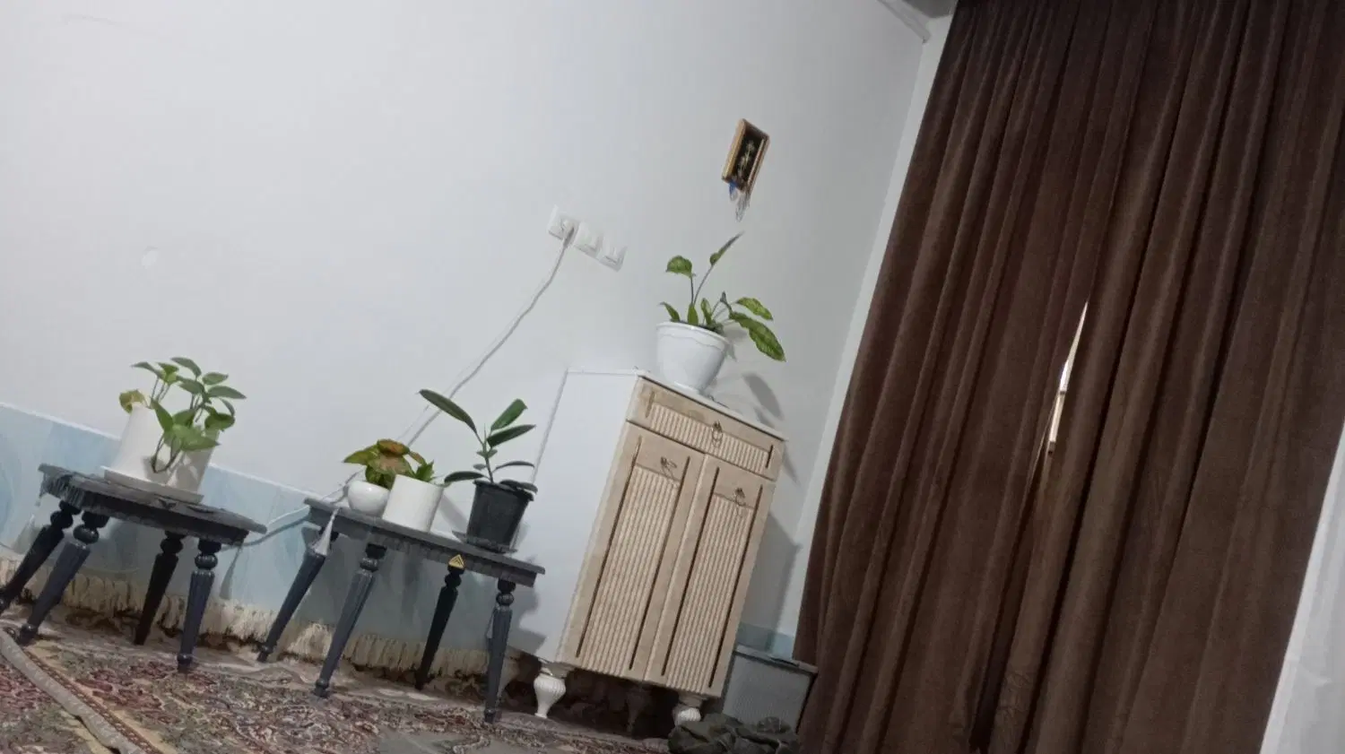 همخونه اقام