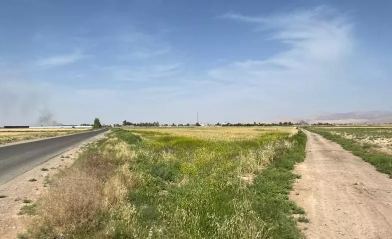 زمین کشاورزی قطعه بندی شده سند تک برگ