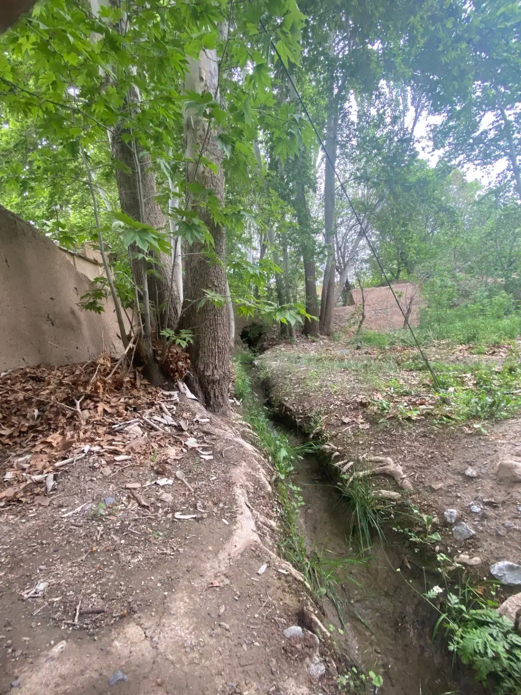 زمین مسکونی ارزنده با قیمت استثنایی، فرصت محدود