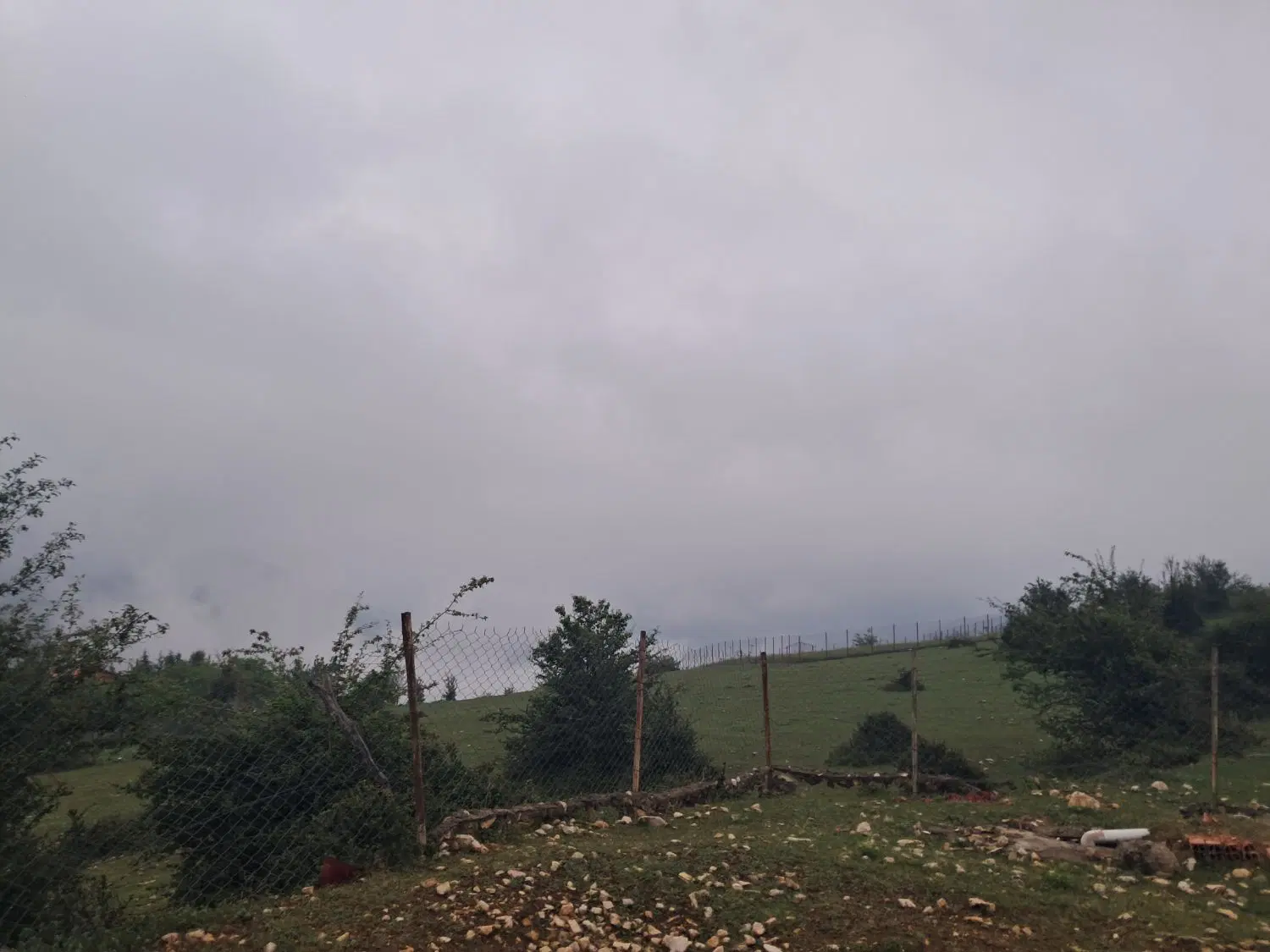 زمین باغ سرتخته